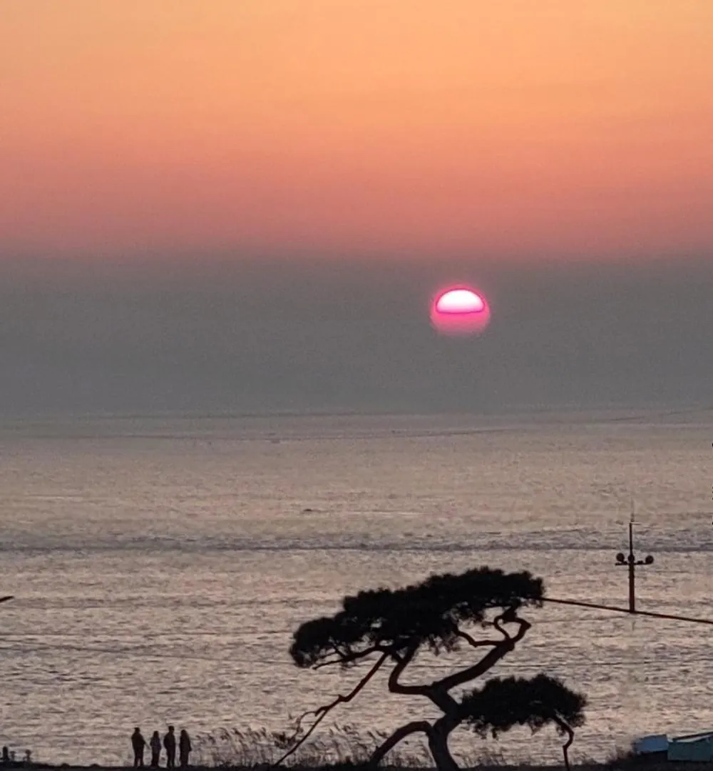 Ganghwa Mj Hauseu Hotel Incheon Guest house