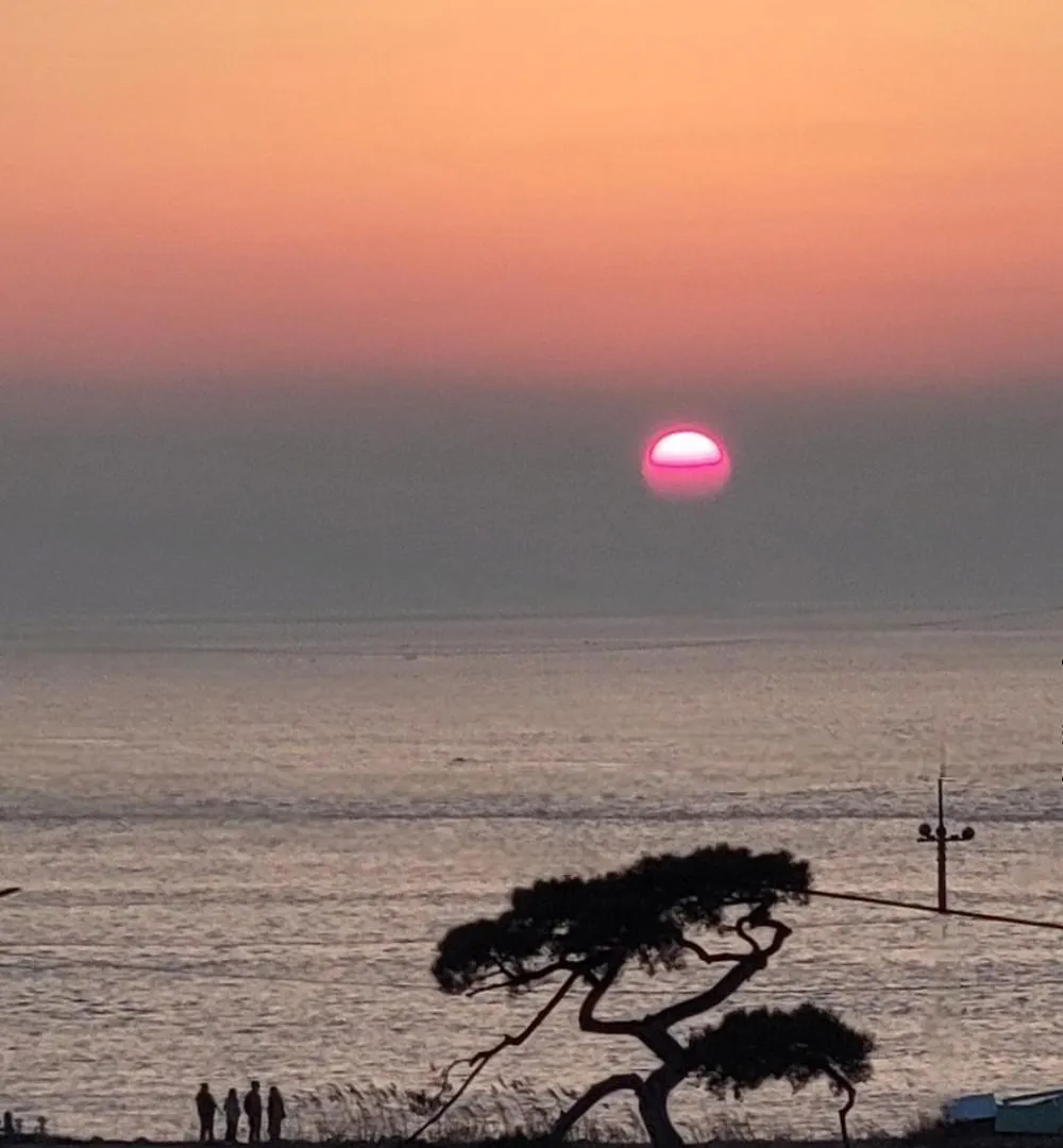 **** ゲストハウス ホテル Ganghwa Mj Hauseu インチョン広域市 韓国